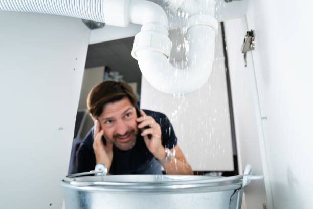 Best Residential Plumbing Services  in Proctor, MN